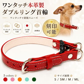 新発売 犬 首輪 本革 ワンタッチ ダブルリング 小型犬 中型犬 刻印可能 名入れ対応 2重ロック バックル 牛革 日本製金具 おしゃれ Beanspet