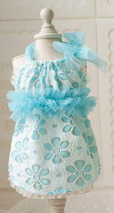 y݌Ɉ|20%OFFN[|z p s[X [X t[ uh     ̕ hbOEFA L ^ ^ ybgp  m  t t  悠