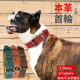 【本日限定全品楽天カードP4倍＋当店P5倍】 犬首輪 犬用首輪 ベーシック ベルト 本革 犬 首輪 おしゃれ かわいい 小型犬 中型犬 大型犬 犬の首輪 柴犬 フレンチブルドッグ いぬ くびわ 犬用品 送料無料