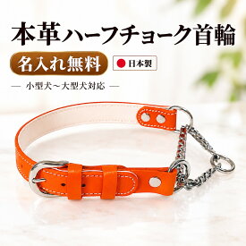 楽天ランキング入賞 犬 ハーフチョーク 首輪 本革 日本製 名入れ無料 牛ヌメ革 小型犬 中型犬 大型犬 レザー チェーン式 しつけ 散歩 サイズ調整 全7サイズ S SM SMワイド M Mワイド L XL 6色 Beanspet