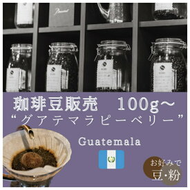 【珈琲豆販売】【グアテマラピーベリー】【グアテマラ】コーヒー豆　珈琲豆　グアテマラ　ピーベリー　希少　豆　粉　　　中煎り