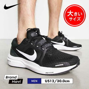 iCL V[Y Y Xj[J[ jO ubN  C X|[c  傫TCY 30.0cm uh }\ g[jO  ʊw KC  AIR ZOOM VOMERO 16 DA7245