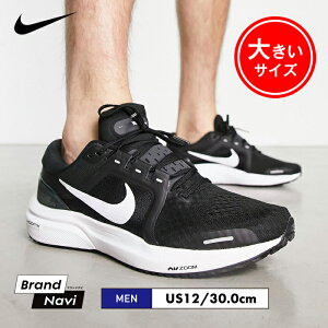 iCL V[Y Y Xj[J[ jO ubN  C X|[c  傫TCY 30.0cm uh }\ g[jO  ʊw KC  AIR ZOOM VOMERO 16 DA7245