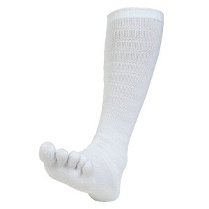 5{w\bNX C nC\bNX Y fB[X WjA N[  z L T|[g ~ G X|[c rWlX ʊw ʋ Vv ubN zCg GMOOD W[