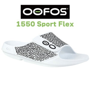 E[tHX Y fB[X Jo[T_   gOT_ r[`T_ ^ Ռz RtH[g ₷ b̕SȃxN