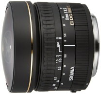 楽天市場】sigma fisheye 8mm キャノンの通販