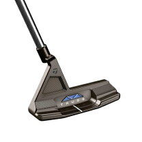 楽天市場】テーラーメイド トラス tb1 トラスヒール パターの通販 
