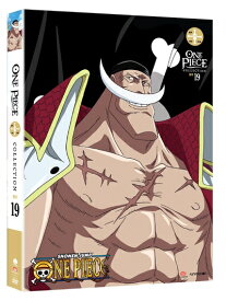 【中古】 ワンピース / ONE PIECE: COLLECTION 19