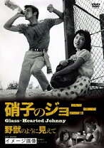 楽天市場】ガラスのうさぎ（DVD｜CD・DVD）の通販