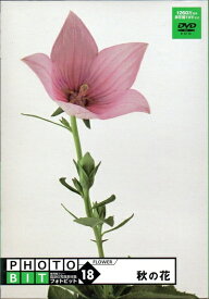 【中古】 Photobit 18 秋の花