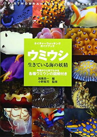 【中古】（新古品） ウミウシ: 生きている海の妖精 (ネイチャーウォッチングガイドブック)