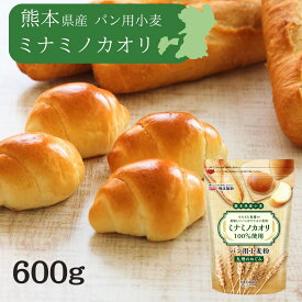 熊本県産小麦 九州のめぐみ 600gミナミノカオリ パン用 強力粉 ホームベーカリー パン 製パン 家庭用 チャック ピザ ピザ生地 餃子 ぎょうざ