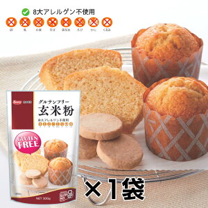 Oet[ ĕ 300g p p AM[ ~bNX ƒp ĕ BY َq  NbL[ }tB GLUTENFREE AQsgp AM[ F{   X[v V`