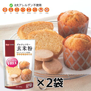 yz Oet[ ĕ 300g×2 | ĕ ~bNX p p AM[ ĕ BY ƒp َq  NbL[ }tB GLUTENFREE AQsgp AM[ F{