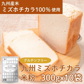 〔送料込〕 九州 ミズホチカラ 米粉 300g×10袋| グルテンフリー 粉 ミズホノチカラ 九州産 国産 国内産 ホームベーカリー 米粉パン 米 アレルギー パン 食パン 蒸しパン 2番 製菓 パンケーキ 製パン 菓子 ピザ生地 ピザ 麺 うどん 家庭用 熊本製粉