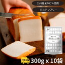〔送料込〕 九州 ミズホチカラ 米粉 300g×10袋| グルテンフリー 粉 ミズホノチカラ 九州産 国産 国内産 ホームベーカ…