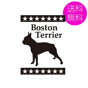 {XgeAJbeBOXebJ[ԁEJ[XebJ[hbOEEG݁EV[