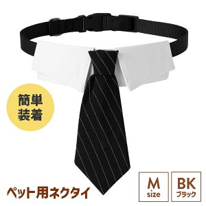 �l�N�^�C ���p �^�L�V�[�h �L�p �R�X�v�� �t�H�[�}�� ��� ���p�l�N�^�C ���L �R�X�v�� ���Ԃ���� �y�b�g�� �y�b�g���� �L���� SNS�f�� ���̕� �L�̕� ��������� �L������� �l�R�l�N�^�C 