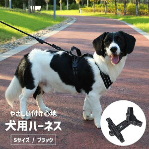  n[lX ^ pn[lX  U ^ ^ h~  nht \tg   ^ ^ 