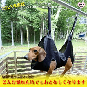  ܐ؂g~O S ݂艺 g~On[lX nbN ybgpi |  \h~ L ⏕