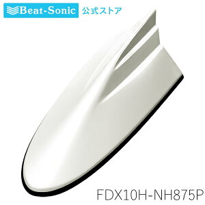 FM/AMhtBAei z_J[[TYPE10] FDX10H-NH875P v~AzCgp[II z_J[V[Yyr[g\jbNz