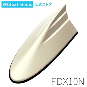 FM/AMhtBAei [TYPE10] FDX10N h ėpyr[g\jbNz