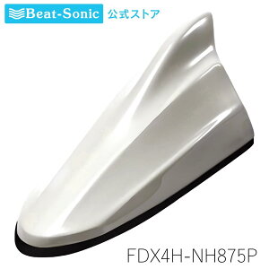 FM/AMhtBAei z_J[[TYPE4] FDX4H-NH875P v~AzCgp[II z_J[V[Yyr[g\jbNz