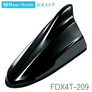 FM/AMhtBAei FDX4T-209 ubN}CJ TYPE4 g^J[V[Yyr[g\jbNz