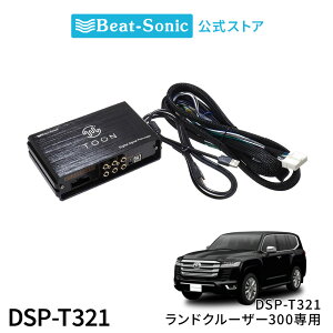 I[fBIǉLbg DSP-T321 g^ hN[U[300 DSP@\tAv TOON Xyr[g\jbN z