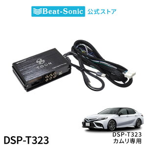I[fBIǉLbg DSP-T323 g^ J DSP@\tAv TOON Xyr[g\jbN z