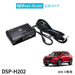 I[fBIǉLbg DSP-H202 z_ WR-Vp fB[[IvVirt 4Xs[J[ DSP@\tAv TOON Xyr[g\jbN z