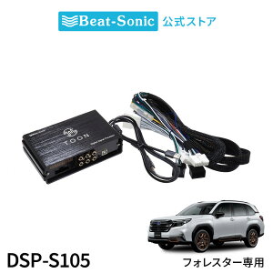 �����I�[�f�B�I�ǉ��L�b�g DSP-S105 �X�o�� �t�H���X�^�[ DSP�@�\�t���A���v TOON X�y�r�[�g�\�j�b�N �����z