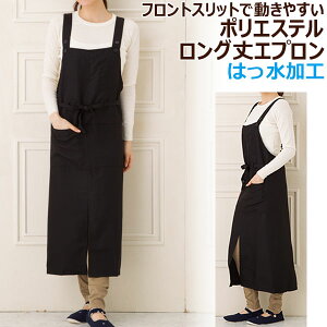 Gv |GXe O O P4-6 H n  VɂȂɂ ԃGv Lb` 킢  v[g [։