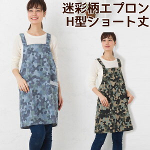 Gv H^ V[g ʕvg K21-4 ȍ Lb` 킢  O|  [։