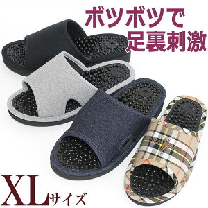 ���N�T���_�� BIG XL�T�C�Y �傫�� ���N�X���b�p �ډ��� ���{��