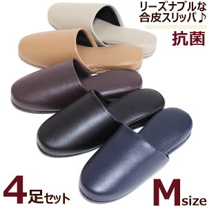 Xbp 4Zbg@U[ A[XJ[ MTCYRہ@v@qp@Ɩp