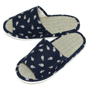 Xbp    Xbp a MTCY { 􂦂