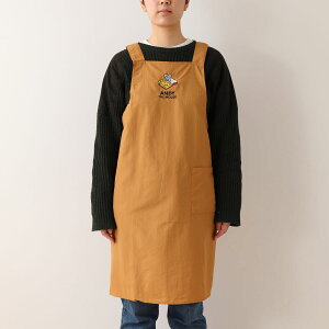 ˂݂ANDY AfB iCGv H^ Ԃ邾 y