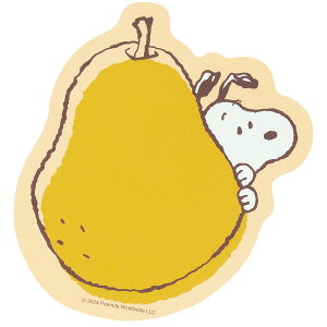 Xk[s[@ ANZg}bg PVC tbVt[c@t[X^C}bg