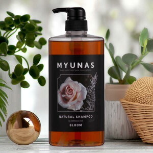 �~���i�X �i�`�������V�����v�[���b�` �u���[�� 1L