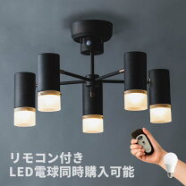 楽天市場】インダストリアル シーリングライトの通販