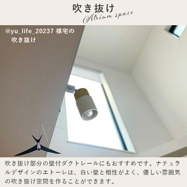 楽天市場】2個セット スポットライト 1灯 エトーレ ダクトレール用 