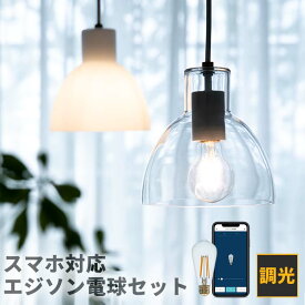 ペンダントライト 1灯 ブラン＋TOLIGO エジソン電球セット 北欧 照明 おしゃれ 天井照明 内玄関照明 廊下 キッチン 寝室 デザイン トイレ涼 照明器具 ダイニング照明 電気 ライト インテリア シーリングライト 乳白色 一人暮らし ルームライト 子供部屋 洗面所 玄関ライト