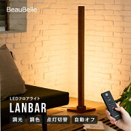 【9900円引き!6/4 20時~】フロアライト LED ランバー リモコン付き 北欧 おしゃれ 照明 スタンドライト …