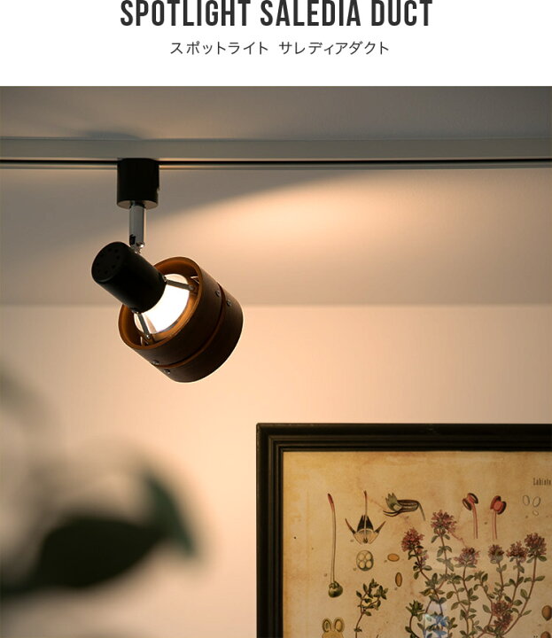 楽天市場 ダクトレール スポットライト 1灯 サレディアダクト 電気 ダクトレール用 賃貸 ダクトライト 照明 間接照明 Led おしゃれ 一人暮らし 北欧 照明器具 リビング用 居間用 ダイニング用 食卓用 寝室 ランプ かわいい ライト 子供部屋 おしゃれ照明 ライトの