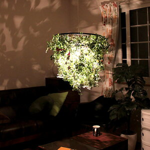 y_gCg 1 ~j tHXeB[Mini foresti]fBNbZ LP3000GR VƖ Lb` Q Ki L ԐڏƖ led {^jJ V[OCg tFCNO[ q k 