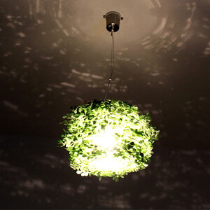 y_gCg 1 I[h rbO[ORLAND-BIG]fBNbZ[DI ClASSE]LP3005GR k fUC Ɩ  Ɩ ԐڏƖ V[OCg q gC Q Ki L _CjO