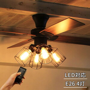 o[VuŉHFς Rt V[Ot@Cg 4 Nh JE-CF001V W@Gty Ɩ  Ɩ VƖ ԐڏƖ  V[OCg l