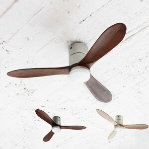 Rt V[Ot@ AEbhu[h JE-CF004M W@Gt V[Ot@Cg  Ɩ VƖ  LEDV[OCg ԐڏƖ l炵