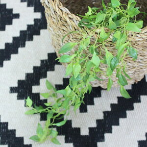 yȂ邷ztFCNO[ t STCYyO[  t t tFCN K[h A[eBtBVO[ Ǌ| ~j  ϗtA  킢 k 